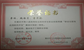 移動互聯(lián)網技術專業(yè)的核心價值 技術服務驅動數(shù)字未來